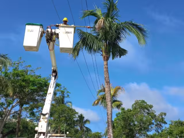 ¿Qué aparato debes desconectar para ahorrar energía, según la CFE?