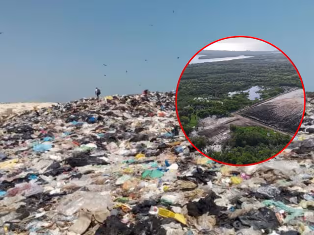 Denuncian mal manejo de residuos sólidos en Ciudad del Carmen