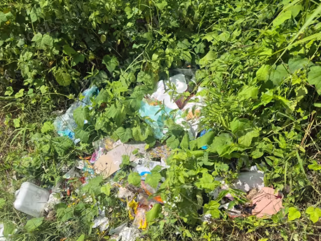 Piden a las autoridades enviar una brigada de limpieza.