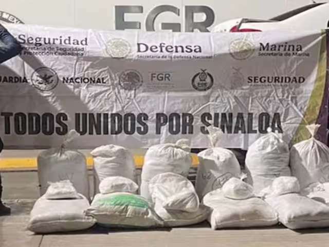 Detenciones, aseguramientos de drogas y armas fueron poarte de las acciones que llevó a cabo el Gabinete de Seguridad este miércoles 22 de enero