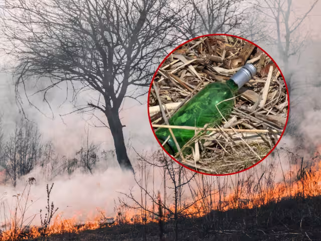 El efecto lupa es un fenómeno que, al concentrar rayos solares con materiales como vidrio o plástico, puede provocar incendios