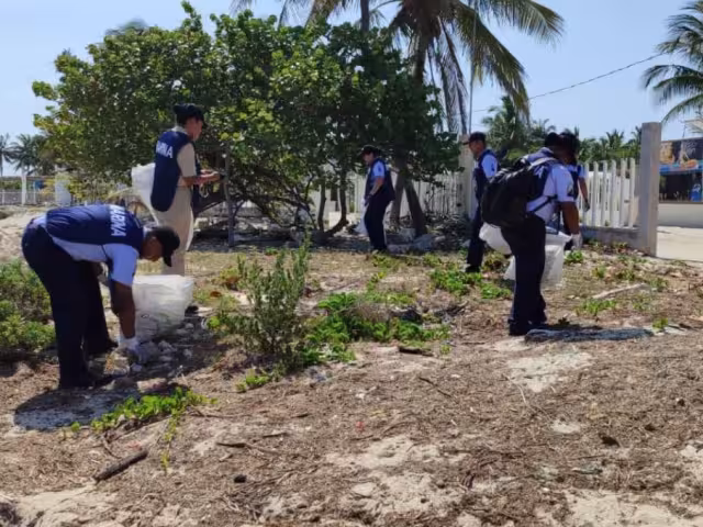 Así se desenvolvió la campaña de descontaminación en Progreso