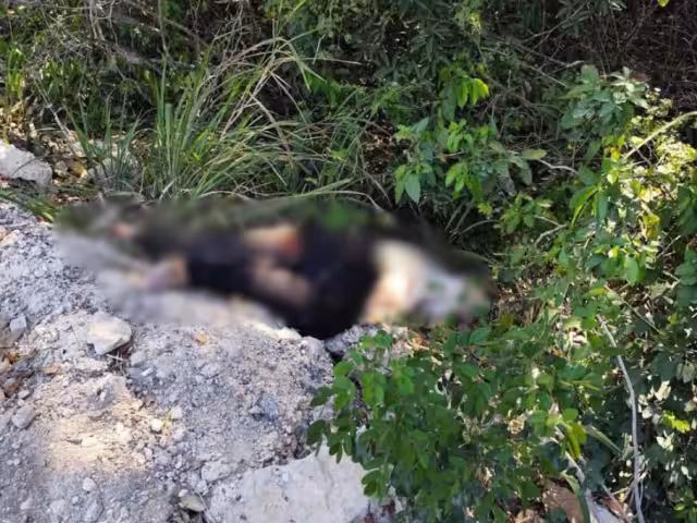 Presuntamente el conductor de la “unidad de dos ruedas” abusó de la velocidad