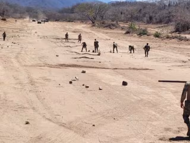 Durante el operativo, se descubrieron y destruyeron dos plantíos de marihuana