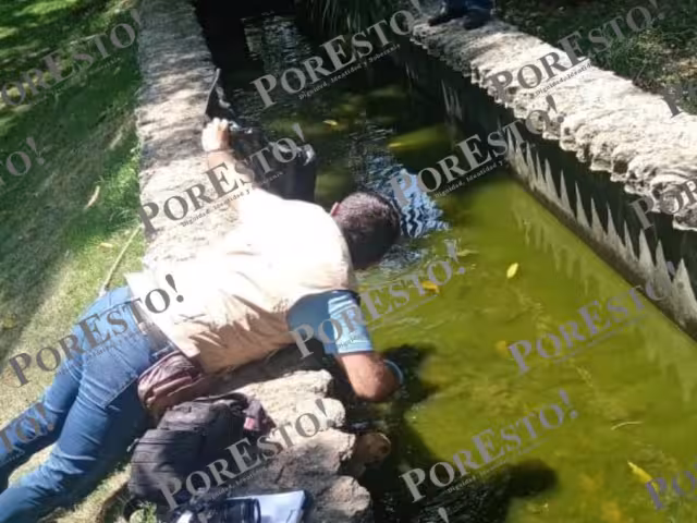 Un cráneo fue localizado en el Parque La Reina de Tizimín