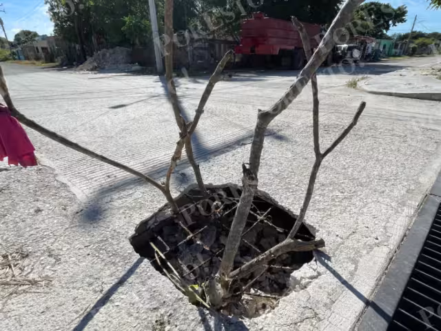 Vecinos de la colonia La Playa, en Champotón, denunciaron un registro expuesto en la calle 13 por 16.