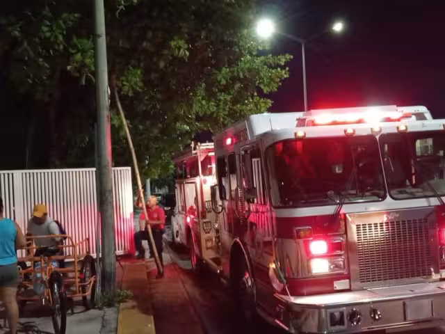 Evacúan secundaria por panal de abejas en Chetumal