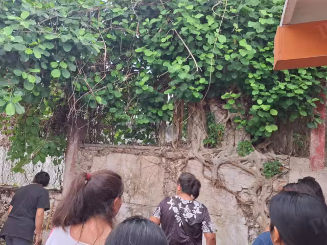 Padres de familia denunciaron el abandono y descuido del traspatio de la escuela primaria Mercedes Vasto Lara en Tinún, Tenabo.