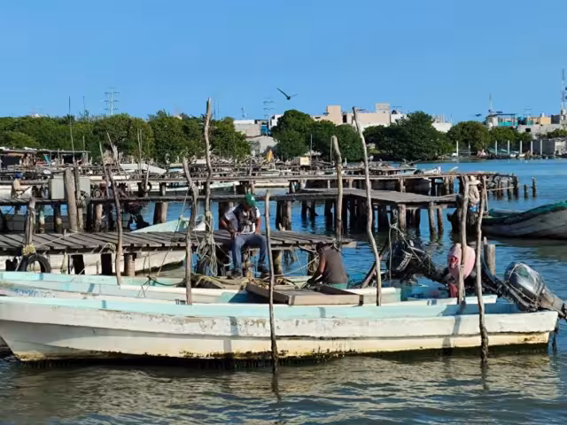 Pescadores de Ciudad del Carmen se preparan para levantar la veda del camarón siete barbas