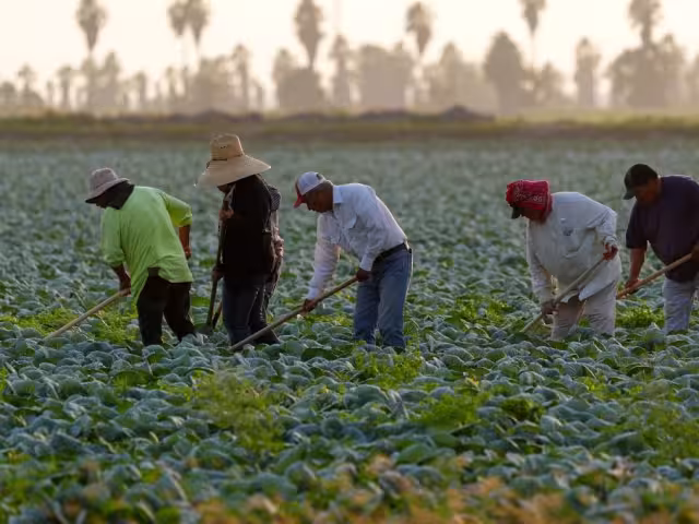 Claudia Sheinbaum adelantó que intentará dialogar con el equipo de Donald para proteger a los migrantes mexicanos