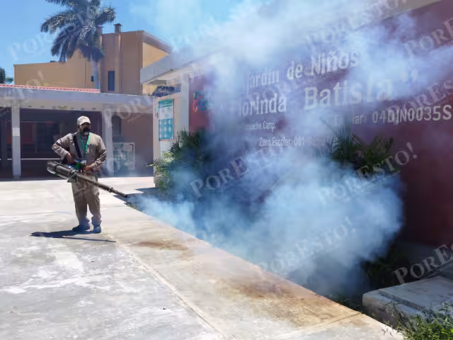 Menos casos en Campeche, más prevención con mosquitos portadores de Wolbachia