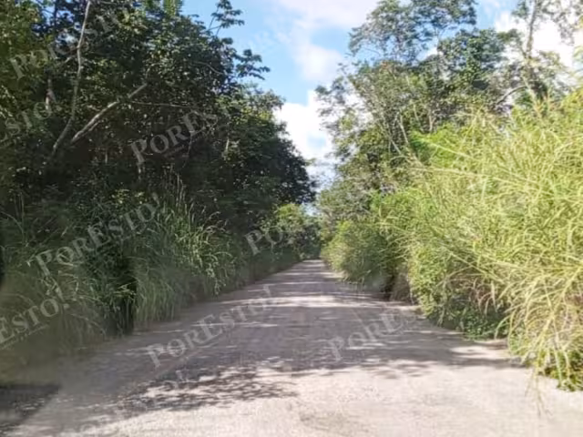 Sin apoyo gubernamental, pobladores limpian tramo clave en Champotón