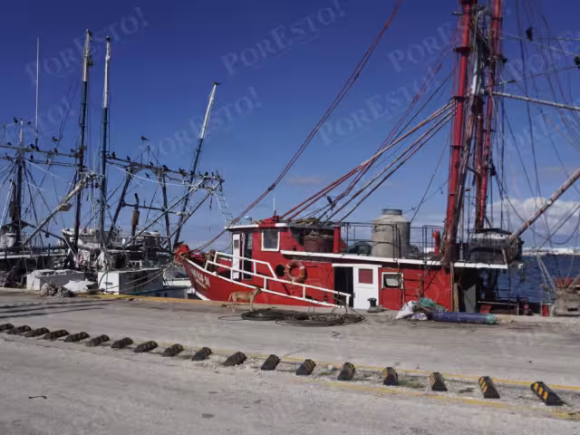 Los pescadores se despiden con risas: empieza la temporada del camarón