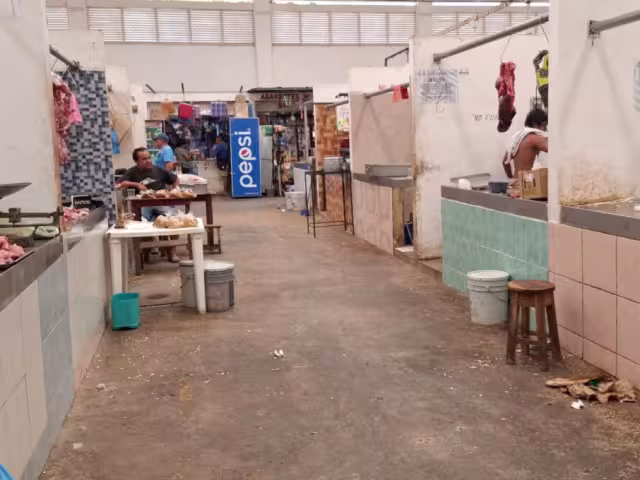 Locatarios del mercado “José del Carmen Ortegón” reportan bajas ventas en carnes y otros productos durante Semana Santa