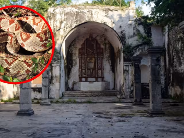 Se dice que el sitio concentra amplia presencia de serpientes de cascabel