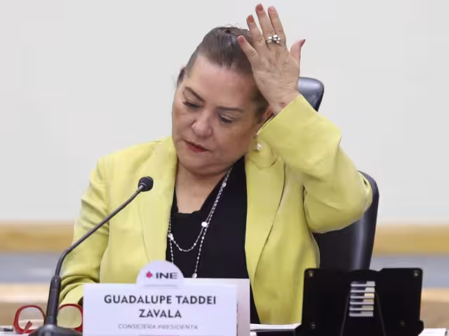 Guadalupe Taddei Zavala, consejera presidenta del INE