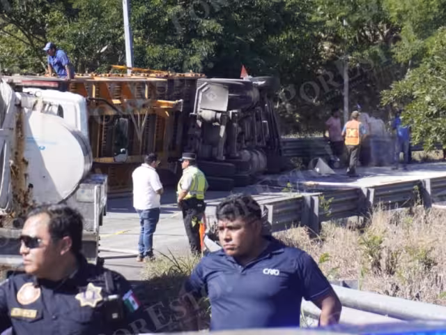 Accidente en la autopista Campeche–Mérida: vuelca camión con animales para consumo