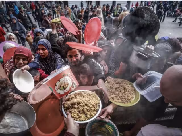 FAO y PMA advierten sobre el riesgo de hambruna en Gaza, Sudán, Haití y Mali