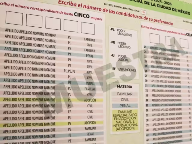 Participar en la elección judicial es un derecho constitucional y una nueva forma de intervención ciudadana