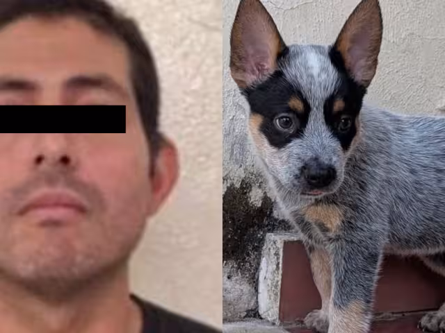 Ferdinando “N” fue detenido en Ciudad del Carmen; un amparo le permitió seguir su proceso en libertad.