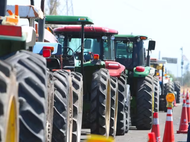 Los agriculto buscarán establecer una mesa de negociación con industriales del maíz, con el objetivo de conseguir un excedente adicionalres