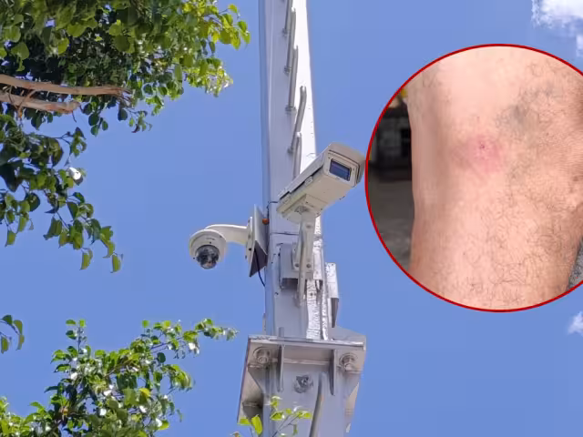 Enjambre en poste de vigilancia ataca a vecinos del Holoch: dos hospitalizados