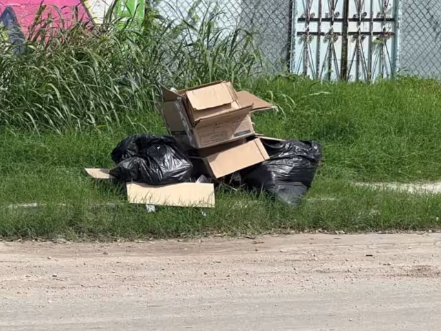 La basura causa molestias a vecinos