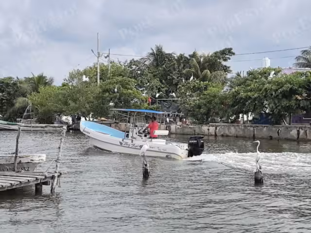 Se levanta la veda, pero la pesca sigue escasa