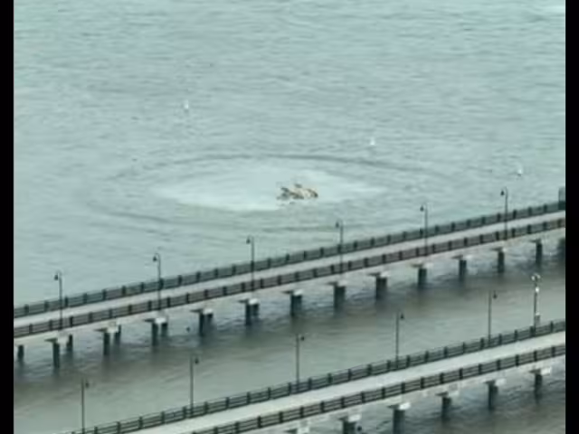 Equipos de rescate del FDNY y unidades marinas acudieron rápidamente al lugar para llevar a cabo las operaciones de salvamento.