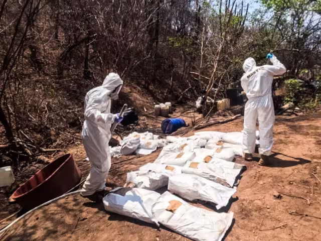 Elementos de la Marina desmantelaron un narcolaboratorio en Sinaloa