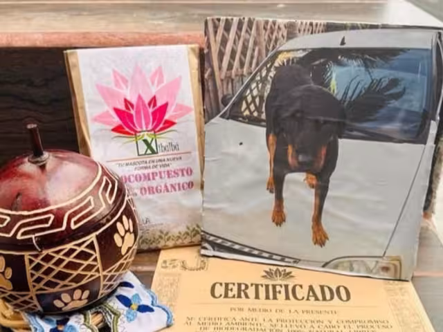 Se acumulan denuncias por casos Xibalbá en la Fiscalía de Chetumal; afectados no quieren que el caso quede impune