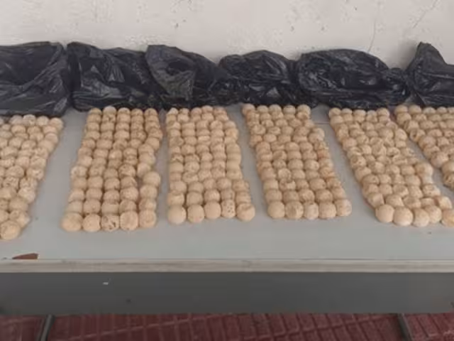 El traslado, comercialización o posesión de especies en veda o bajo protección oficial está penado por la legislación mexicana en materia ambiental