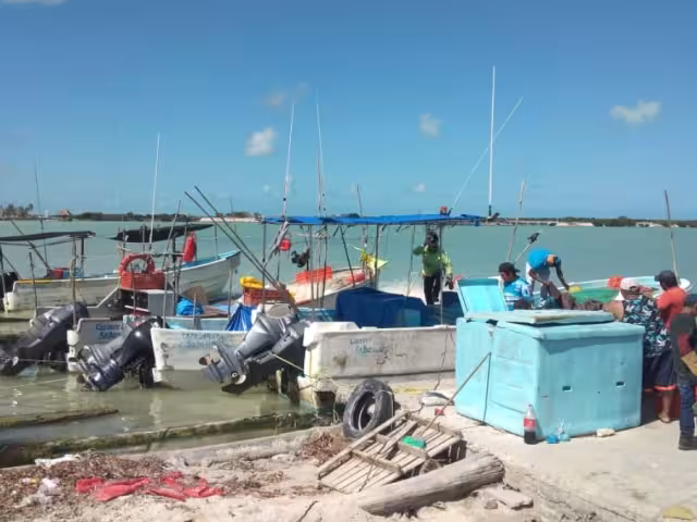 La falta de luz desde hace dos semanas facilita los robos de equipamiento pesquero.
