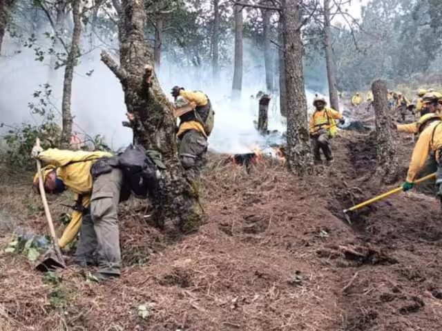 Han generado afectaciones preliminares en una superficie de 9 mil 207.37 hectáreas
