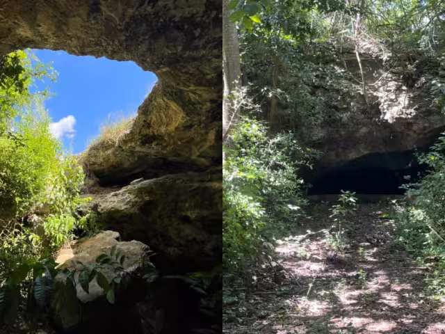 Lo que en algún momento representó un sitio para el esparcimiento familiar, hoy solo es el hogar de murciélagos e iguanas