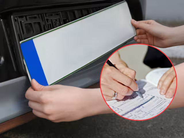 En Campeche, Yucatán y Quintana Roo el reemplacamiento vehicular se realiza cada 3 años