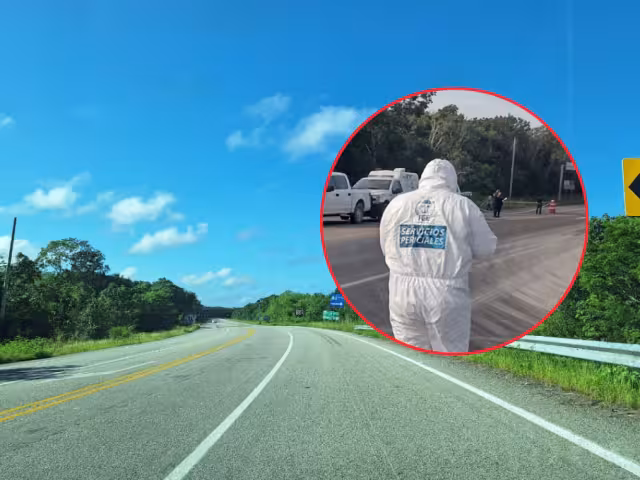 Un cuerpo embolsado fue localizado en una zona de descanso de la carretera federal 307, tramo Tulum–Felipe Carrillo Puerto.