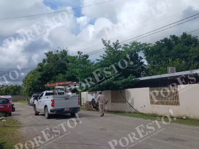 En Escárcega, ramas de un árbol provocaron un corto circuito en cables de la CFE.