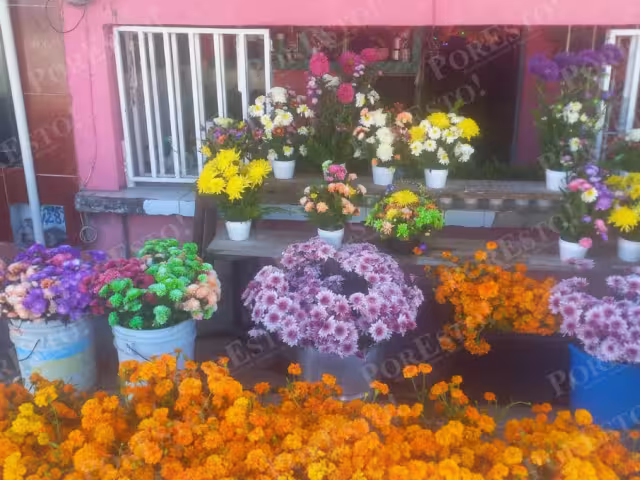 Gabriela Santisbón prepara arreglos accesibles para todos