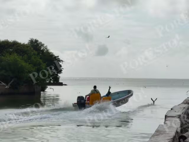 Pescadores ribereños de Ciudad del Carmen mantienen poco optimismo pese al levantamiento de la veda del camarón.