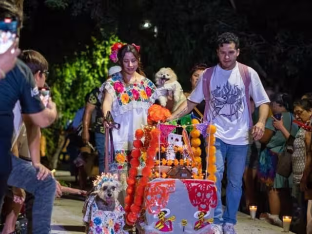 Pixán Peek Mérida 2025: “Lomitos” se apoderan del Parque La Plancha