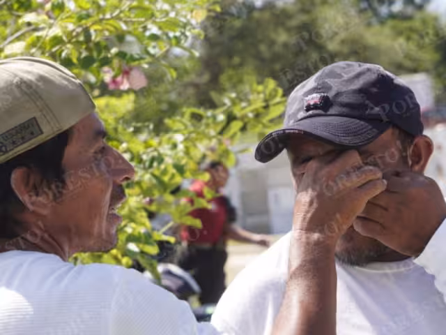 Enjambre sorprende a familias durante visita al panteón en Día de Muertos