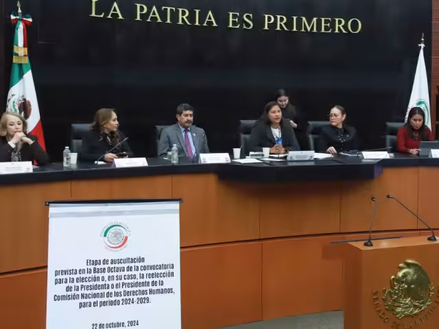 Activistas y organizaciones demandan que el próximo titular de la CNDH sea independiente