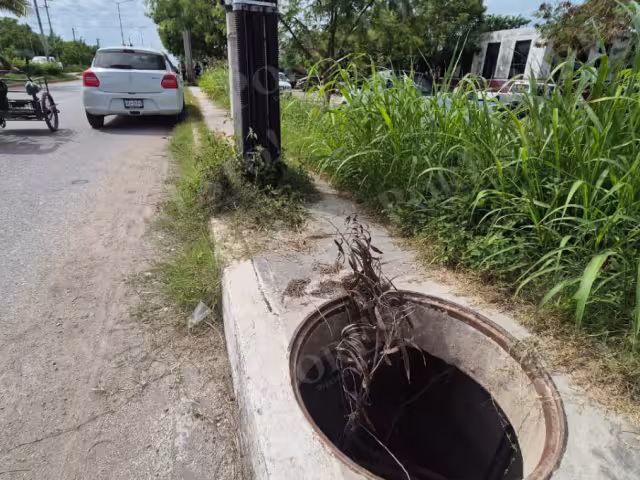 Ciudadanos piden acciones urgentes y la instalación de señalamientos preventivos.