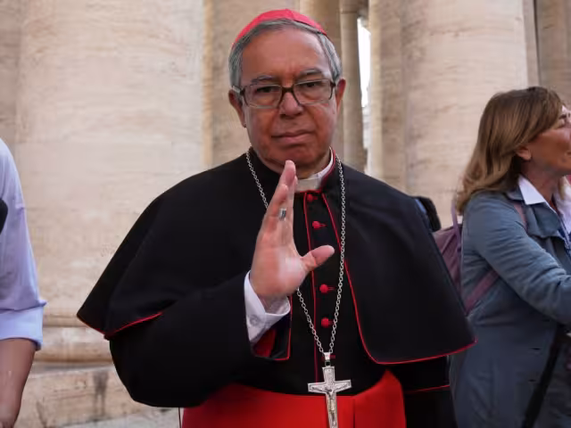 Cardenal Luis José Rueda Aparicio