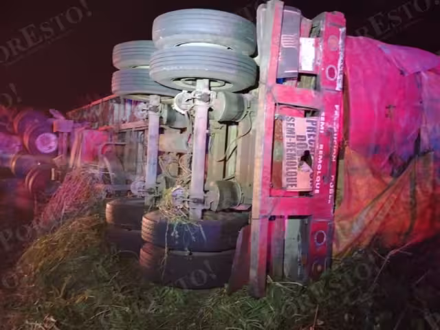 Un tráiler que transportaba alimentos para animales volcó durante la madrugada en el tramo Champotón–Sabancuy.