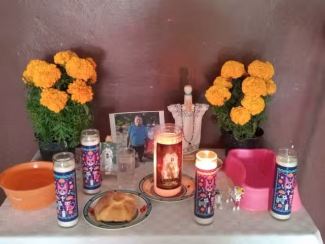 Familias chetumalenses se preparan para recibir a sus mascotas fallecidas