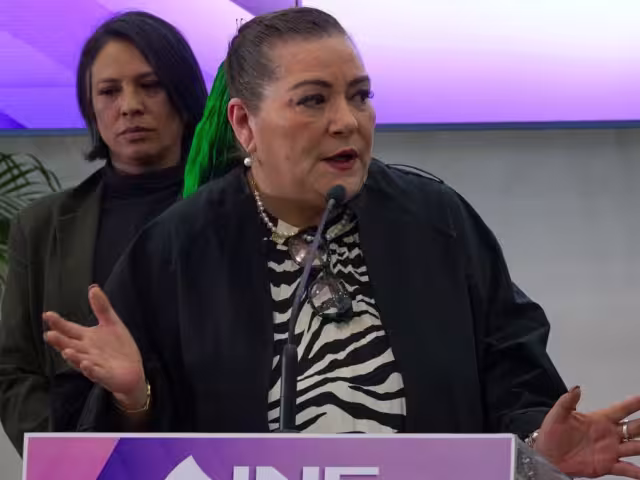 Guadalupe Taddei Zavala, consejera presidenta del Instituo Nacional Electoral