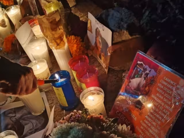 Afectados por caso Xibalbá se organizan para salir a marchar