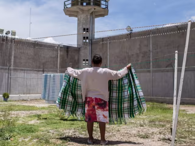 Los datos reflejan que la violencia contra la mujer sigue siendo un problema estructural en México